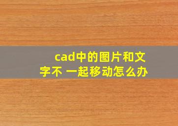 cad中的图片和文字不 一起移动怎么办